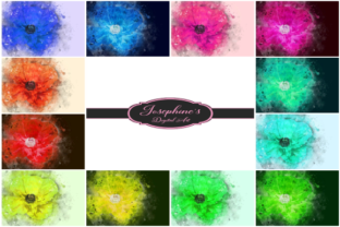Watercolor Poppy Flower Set of 12 Backgrounds Review